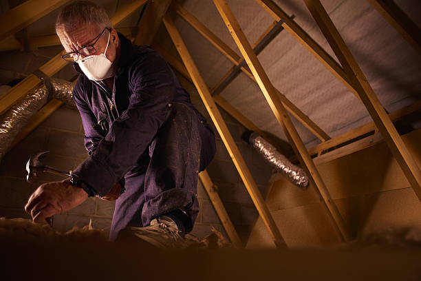 Best Insulation Maintenance and Repair in , AK